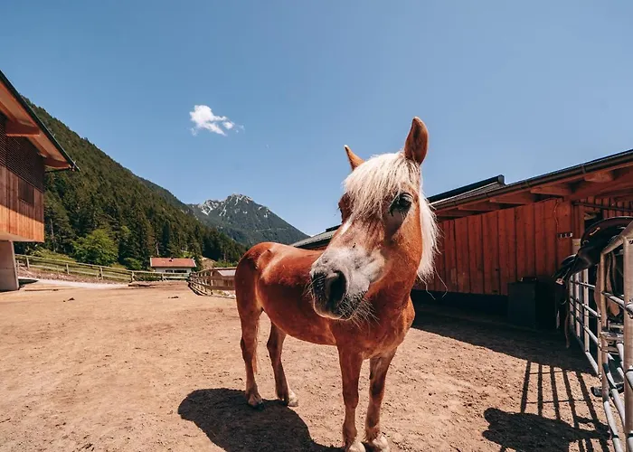 Familienresort Buchau Hotel