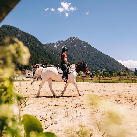 酒店 Familienresort Buchau 4*