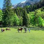 Familienresort Buchau ホテル マウラッハ