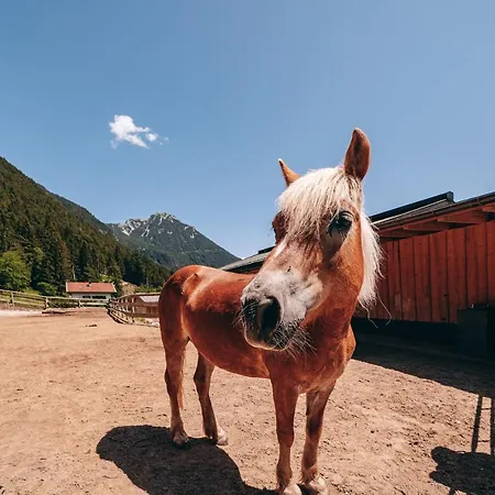 Familienresort Buchau Hotel